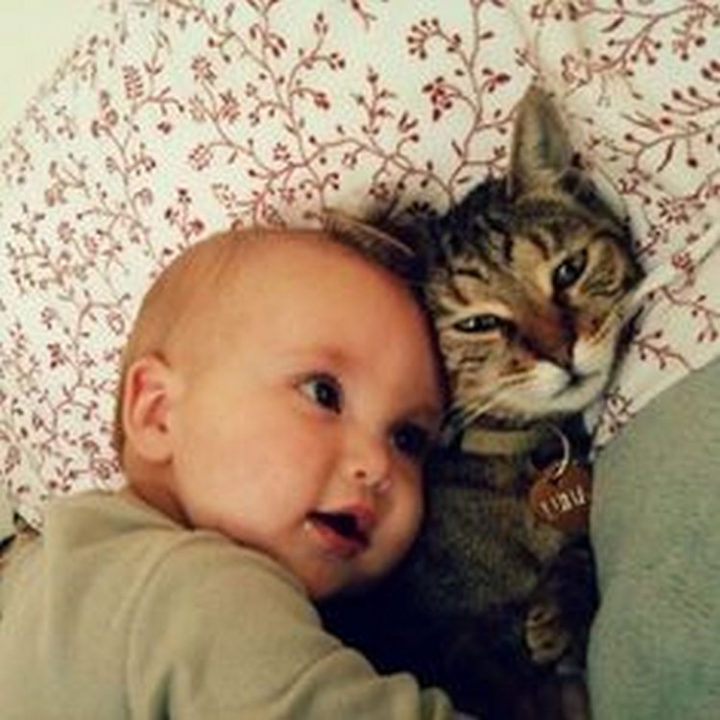 21 Cats Babysitting Babies - "I can hear your heart beating!"