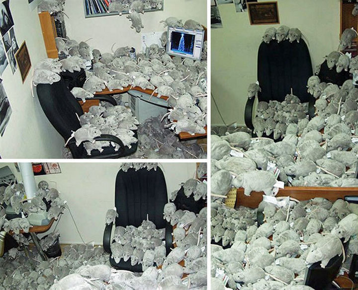 26 Funny Office Pranks - Call the exterminator!