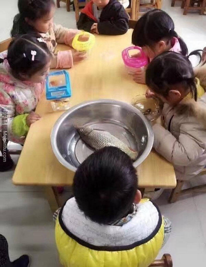 18 Kids Taking Instructions Too Literally - Bring a fish to school day.