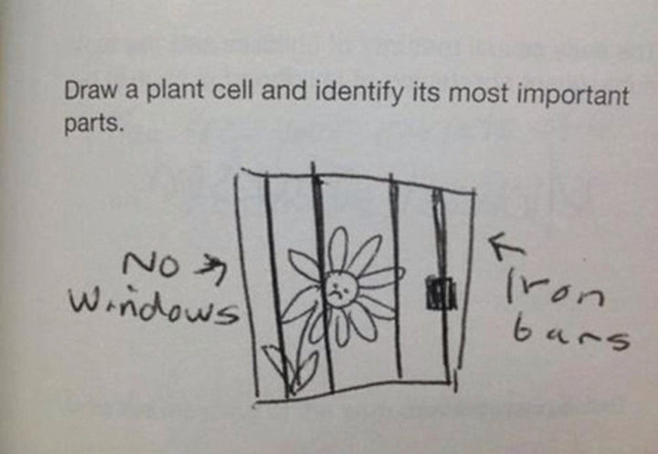 18 Kids Taking Instructions Too Literally - If plants had a jail cell, it would most likely look like this.v