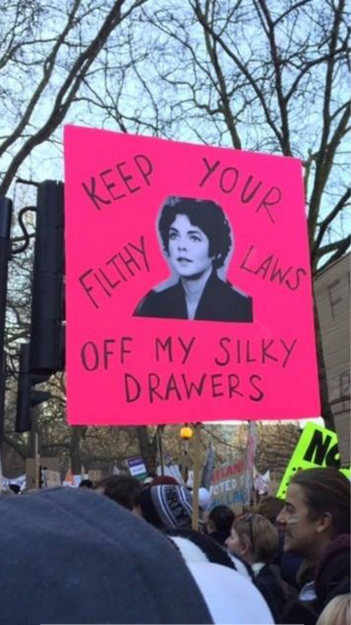 20 Epic Women's March Signs - "Keep your filthy laws off my silky drawers."
