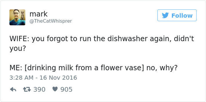 "Wife: You forgot to run the dishwasher again, didn't you? Me: [drinking milk from a flower vase] No, why?"