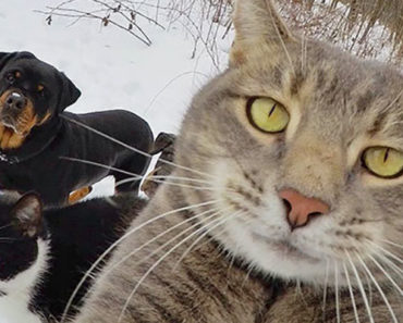 These 22 Animal Selfies Are the Cutest Thing You’ll See All Day