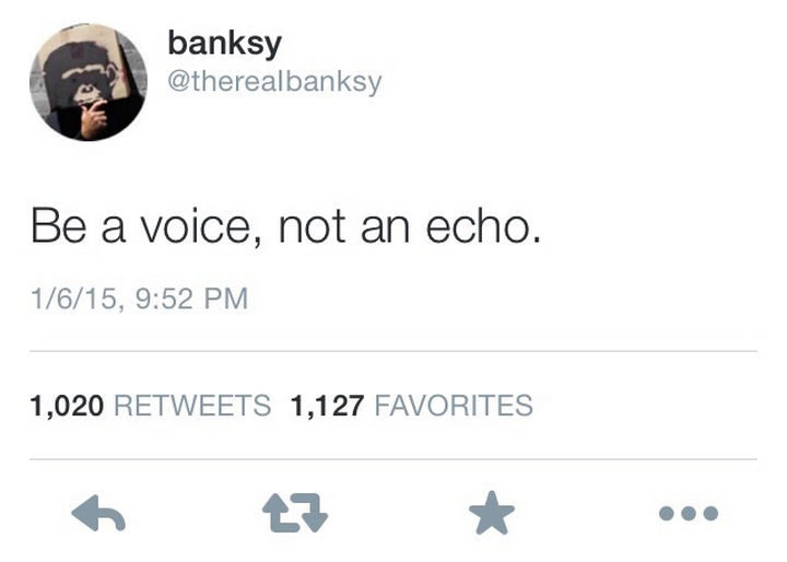 22 Funny Examples of Irony - 1,020 retweets sure is a lot of echoes.