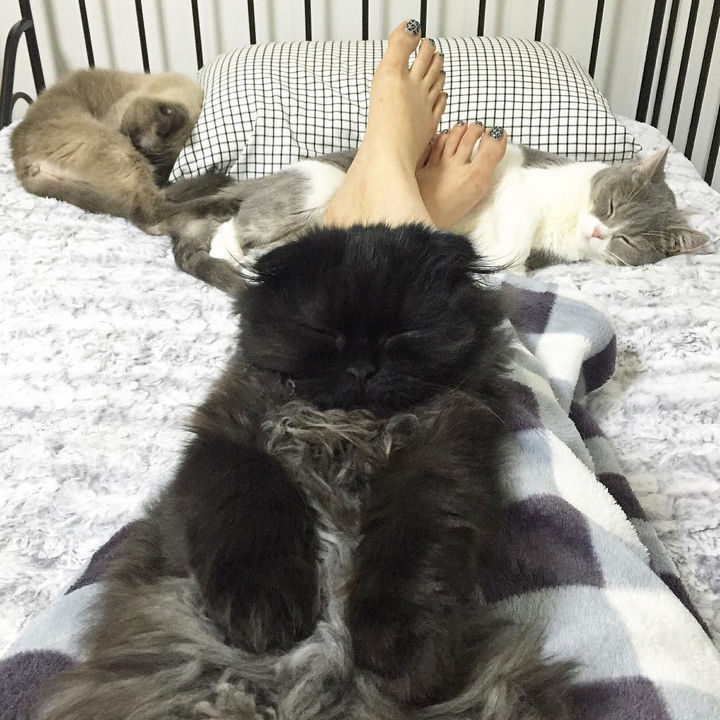 What better time to spend on a lazy afternoon than relaxing with his family.