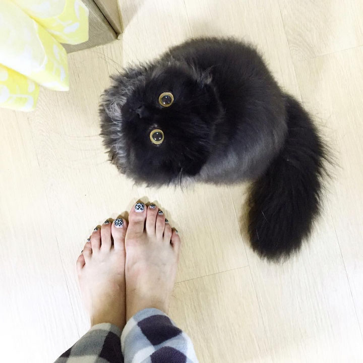 Gimo has been a good boy all day and I think he deserves a treat!
