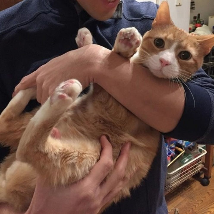He only weighted 7 pounds at the time but Danny and Hannah knew with some loving care, he would be back on his feet.