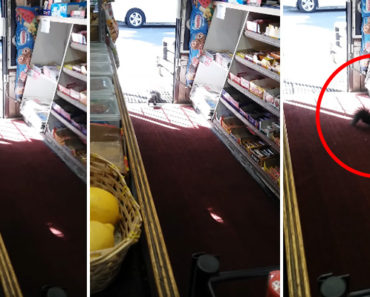 This Convenience Store Keeps Getting Robbed. The Cutest Little Thief Was Caught on Camera!