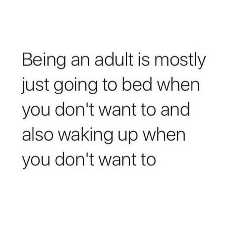 Quotes About Being An Adult 91
