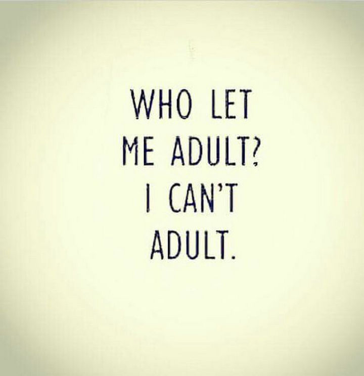 23 Funny Adult Quotes Youll Relate To If You Think Adulting Isnt Easy