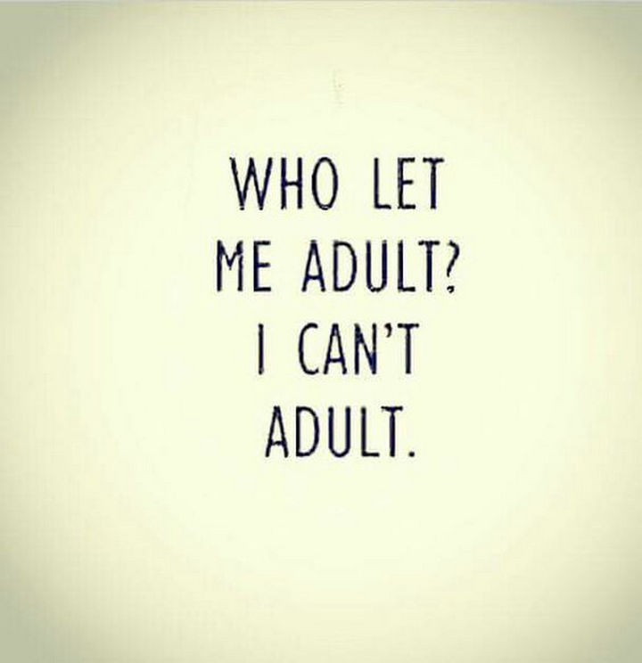 23 Funny Adult Quotes You Ll Relate To If You Think Adulting Isn T Easy