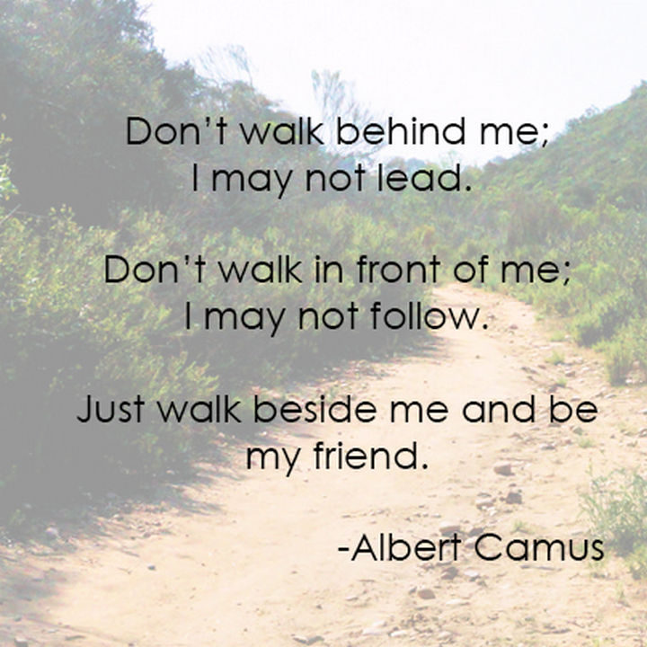 75 Amazing Relationship Quotes - "Don’t walk in front of me; I may not follow. Don’t walk behind me; I may not lead. Just walk beside me and be my friend." - Albert Camus