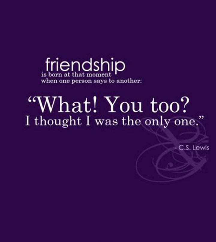 75 Amazing Relationship Quotes - "Friendship is born at that moment when one person says to another, ‘What! You too? I thought I was the only one" - C.S. Lewis