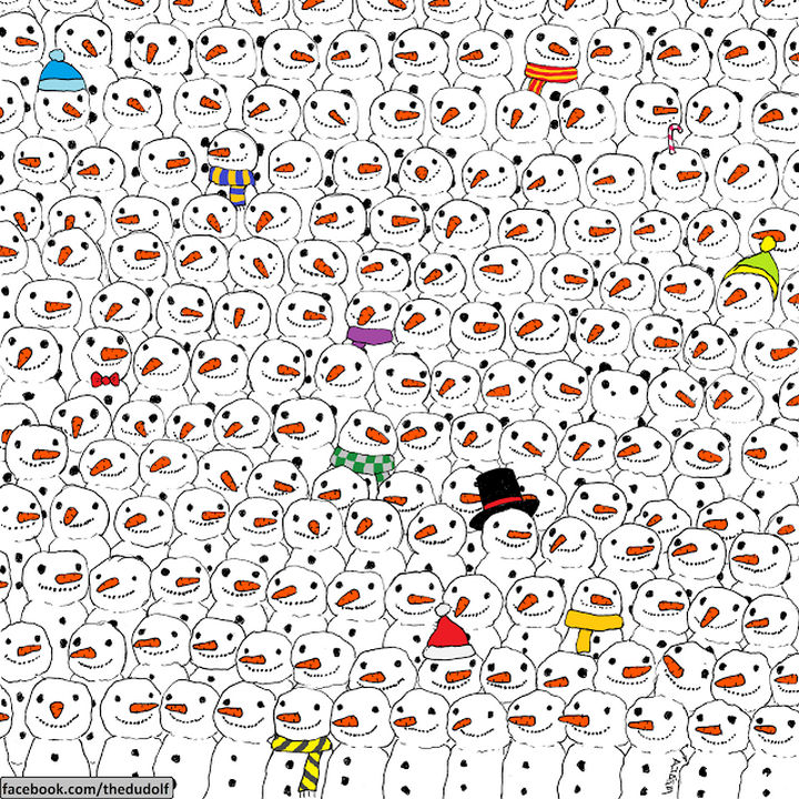 Can you find the hidden panda?