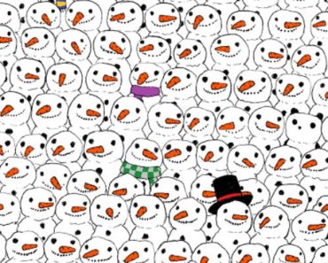 Can You Find the Hidden Panda? Click for the Answer and 2 Extra Puzzles!