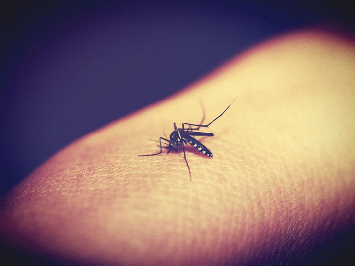 Did you know you can stop the itch from a mosquito bite by rubbing deodorant onto the bite?
