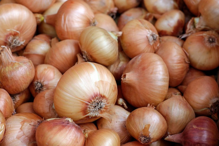 If you have a stuffy nose, did you know you can get relief by slicing an onion in half and placing both halves on your nightstand while you sleep?
