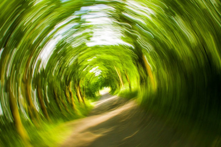 If you're in bed and feel dizzy, put one of your feet on the floor to help your brain readjust.