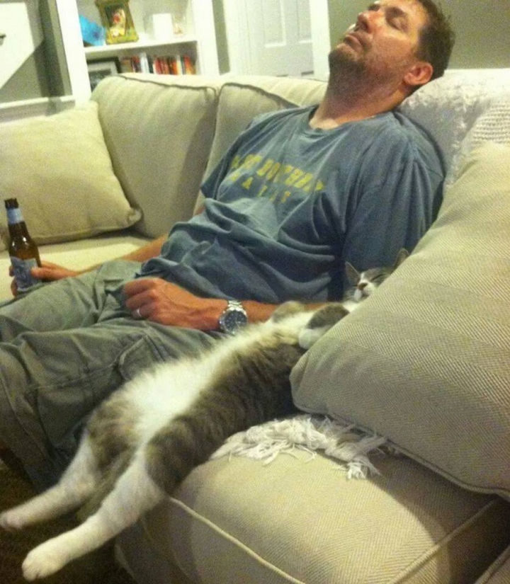 23 Amusingly Lazy Cats - Watching the game. Sort of...