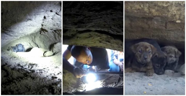 Epic Puppy Rescue Nearly 18 Feet Into The Earth!