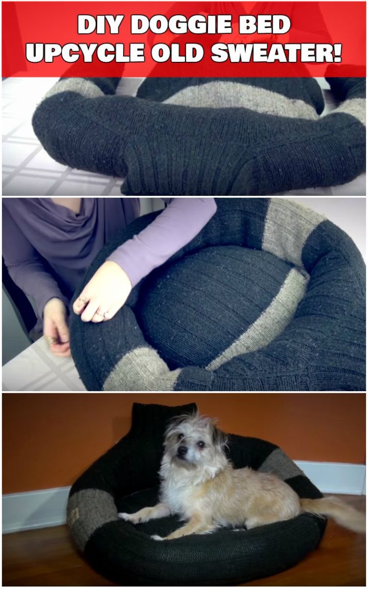 Cozy DIY Doggie Bed Created by Upcycling an Old Sweater.