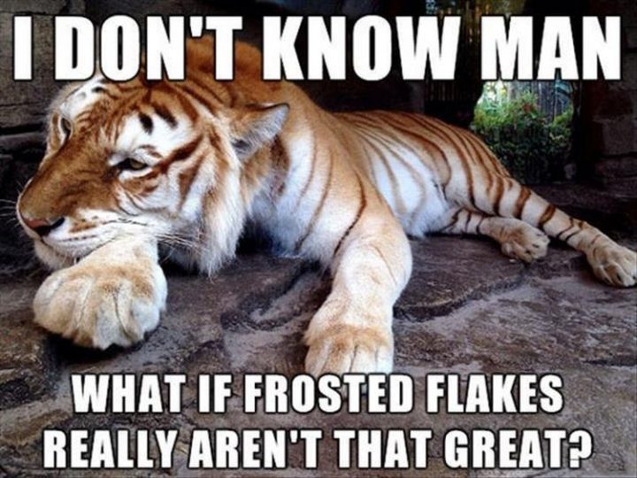 37 Funny Animal Memes - "I don't know man. What if Frosted Flakes really aren't that great?"