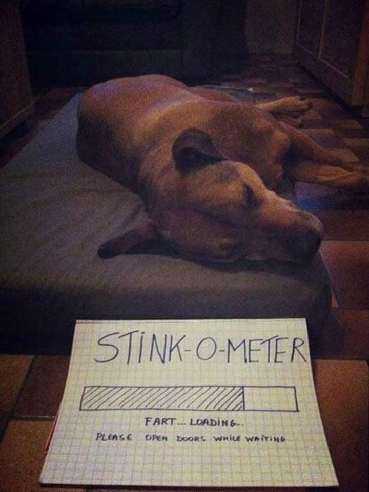 "Stink-O-Meter. Fart... Loading... Please open doors while waiting."