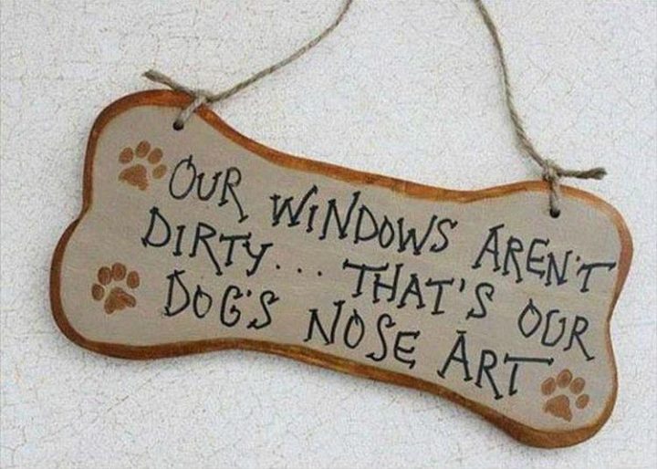  "Our windows aren't dirty... That's our dog's nose art."