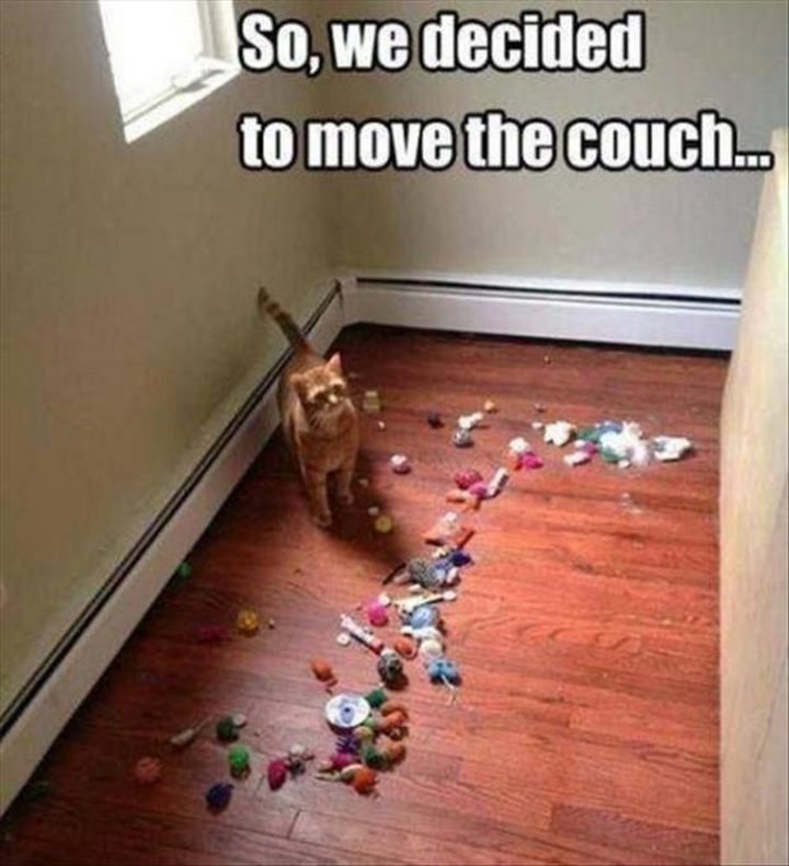 "So we decided to move the couch..."