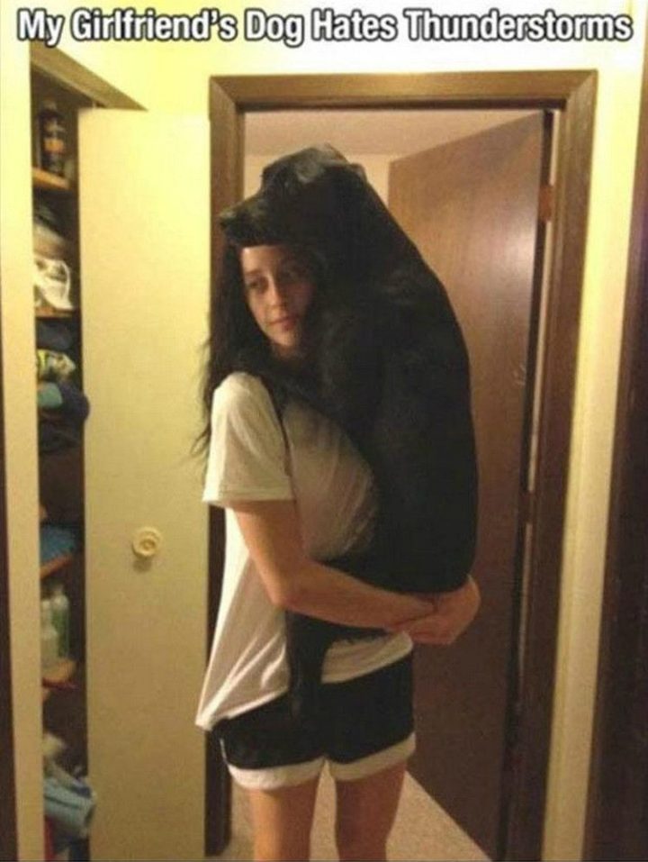 "My girlfriend's dog hates thunderstorms."