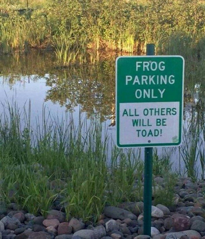 18 Funny Images - All others will be toad!