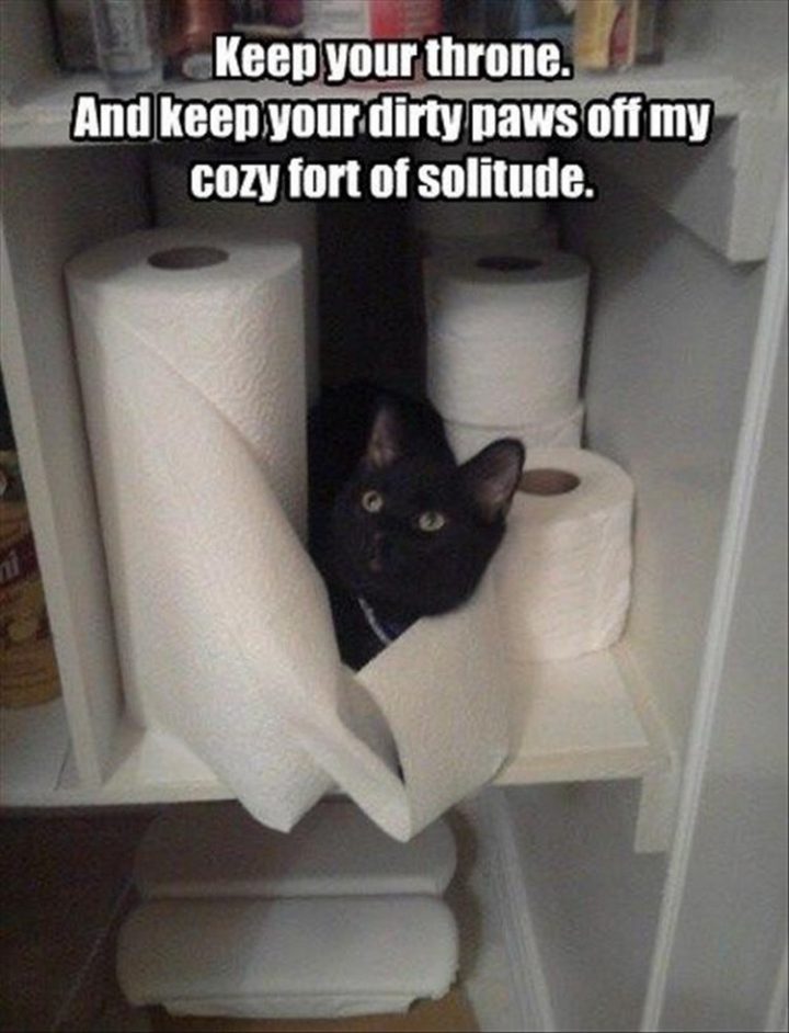 27 Funny Animal Memes - "Keep your throne. And keep your dirty paws off my cozy fort of solitude."