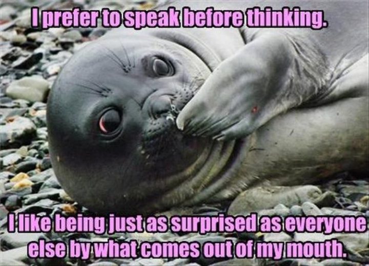 27 Funny Animal Memes - "I prefer to speak before thinking. I like being just as surprised as everyone else by what comes out of my mouth."