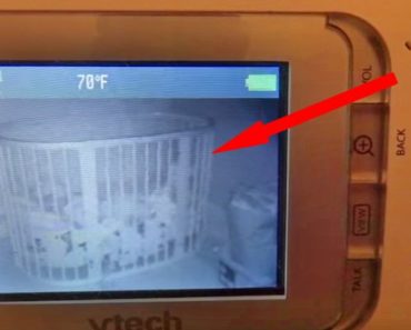 Parents Catch Their 2-Year-Old Singing THIS on the Baby Monitor. The Force Is Strong with This One!