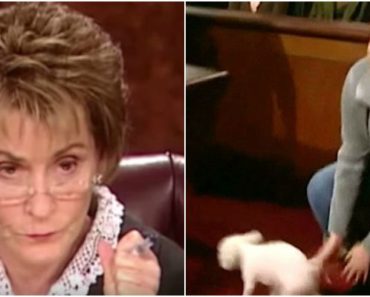 Judge Judy Tells Her to Put the Dog Down and Let Him Loose. When She Does, THIS Happens!