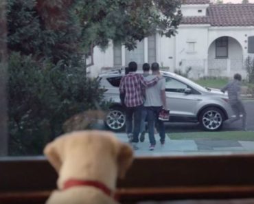 Budweiser’s Drinking and Driving PSA Is Heartwarming. The Dog Is So Adorable!