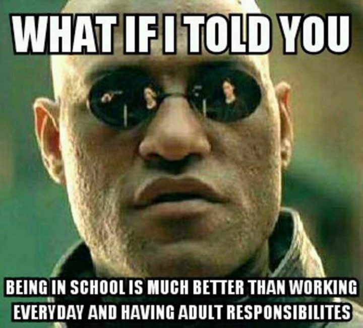"What if I told you being in school is much better than working every day and having adult responsibilities."