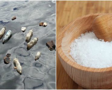 Study Finds Most Sea Salt Brands Contain Plastics but Researchers Weren’t Expecting to Find THIS!