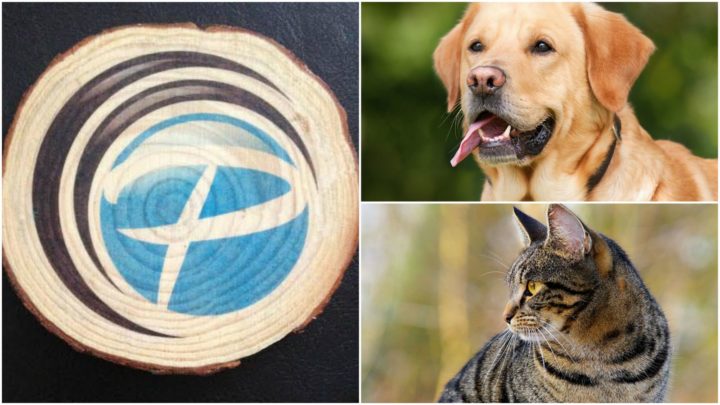 9 Pet Memorial Gifts - Transfer your pet's photo on wood with photo wood plaque coasters.