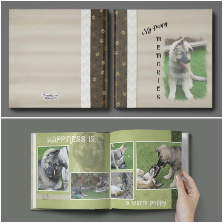 9 Pet Memorial Gifts - Photo books help you capture and store favorite memories you've had with your pet over the years.