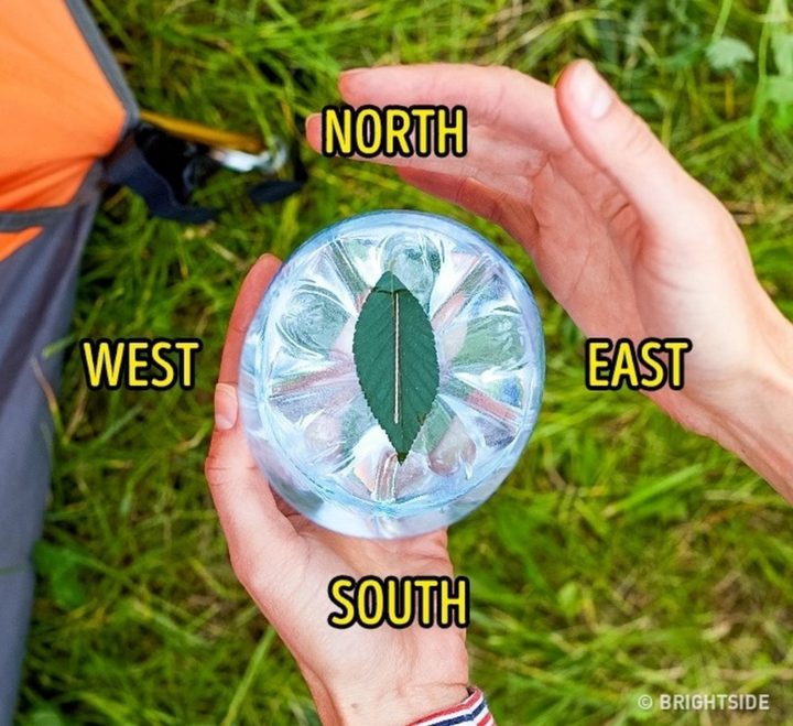 11 Wilderness Survival Tips - Make a DIY leaf compass with water, a leaf, and a needle.