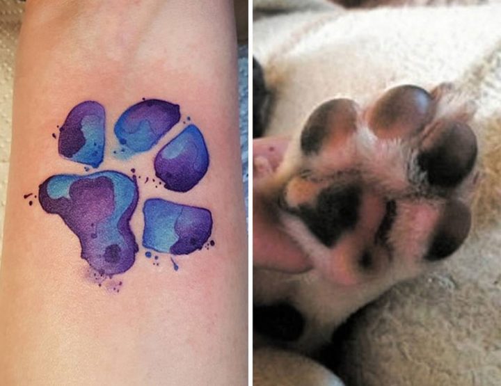 25 Dog Paw Tattoo Ideas - 