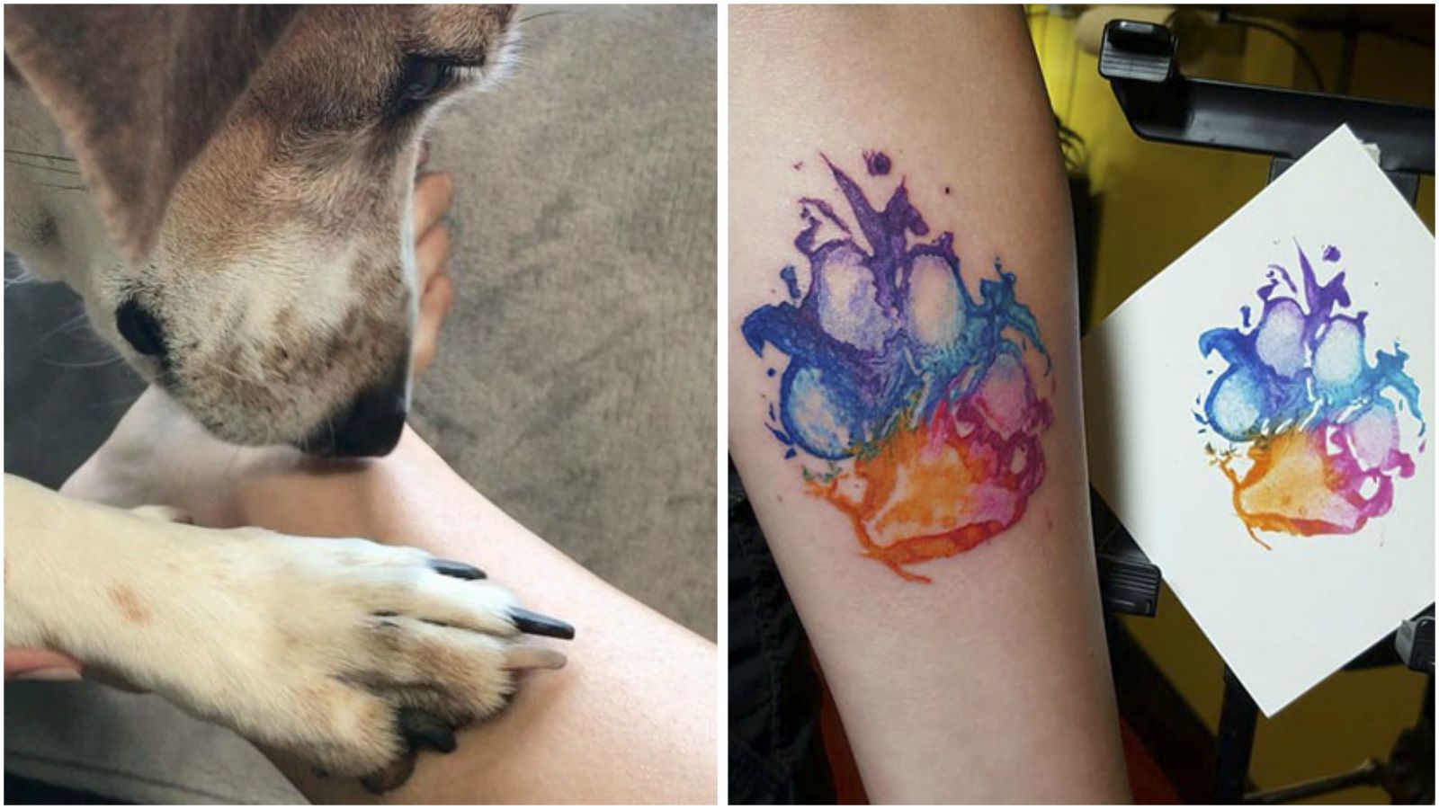 25 People with Tattoos of Their Dog’s Paw. It’s a Beautiful Way of Expressing Their Special Bond…