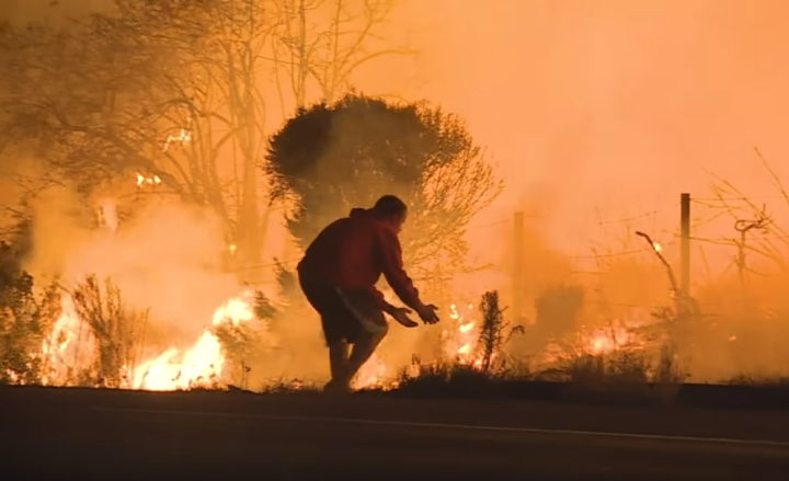 Brave Man Rescues Rabbit During Southern California Wildfires.