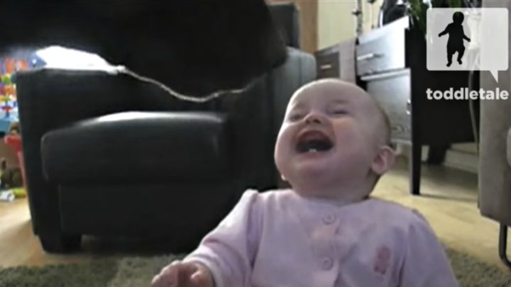 Baby Girl Laughs While Watching the Family Dog Eat Popcorn.