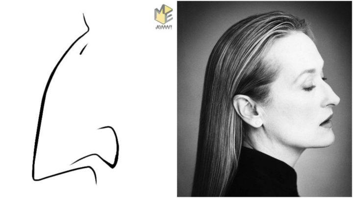8 Types of Noses - The arched nose.