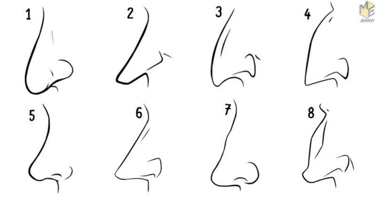 different nose shapes drawing tumblr