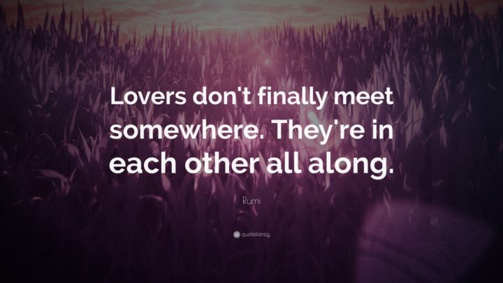 "Lovers don't finally meet somewhere. They're in each other all along." - Rumi