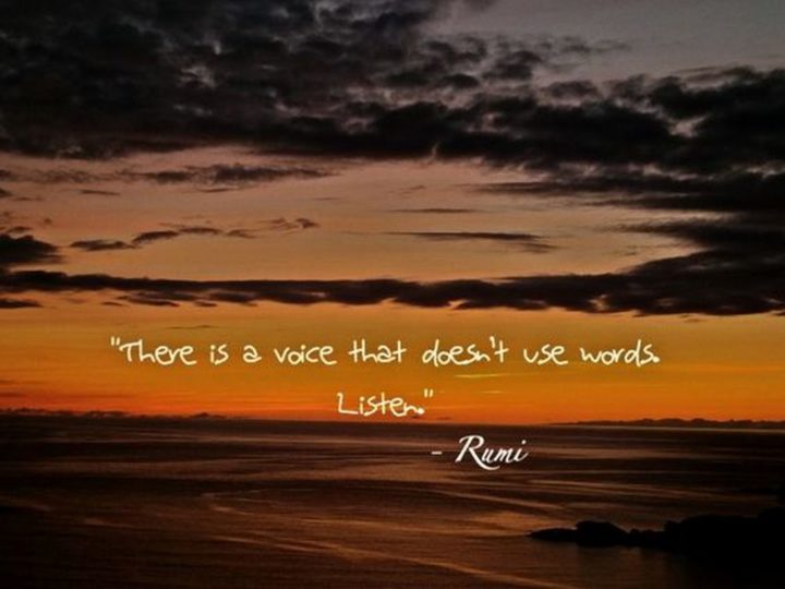 "There is a voice that doesn't use words. Listen." - Rumi