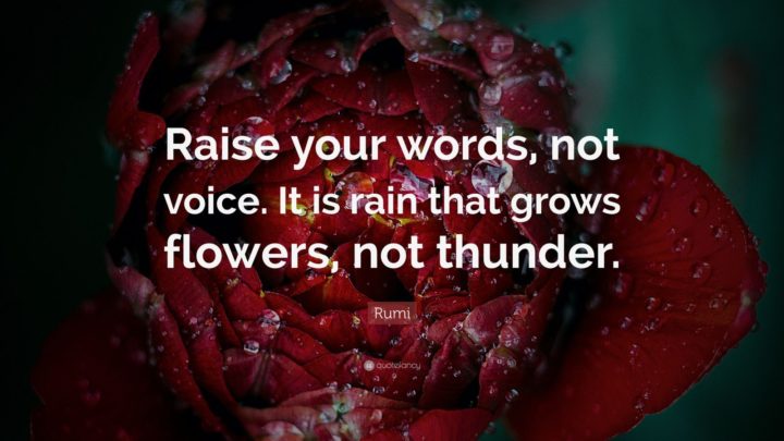 "Raise your words, not voice. It is rain that grows flowers, not thunder."